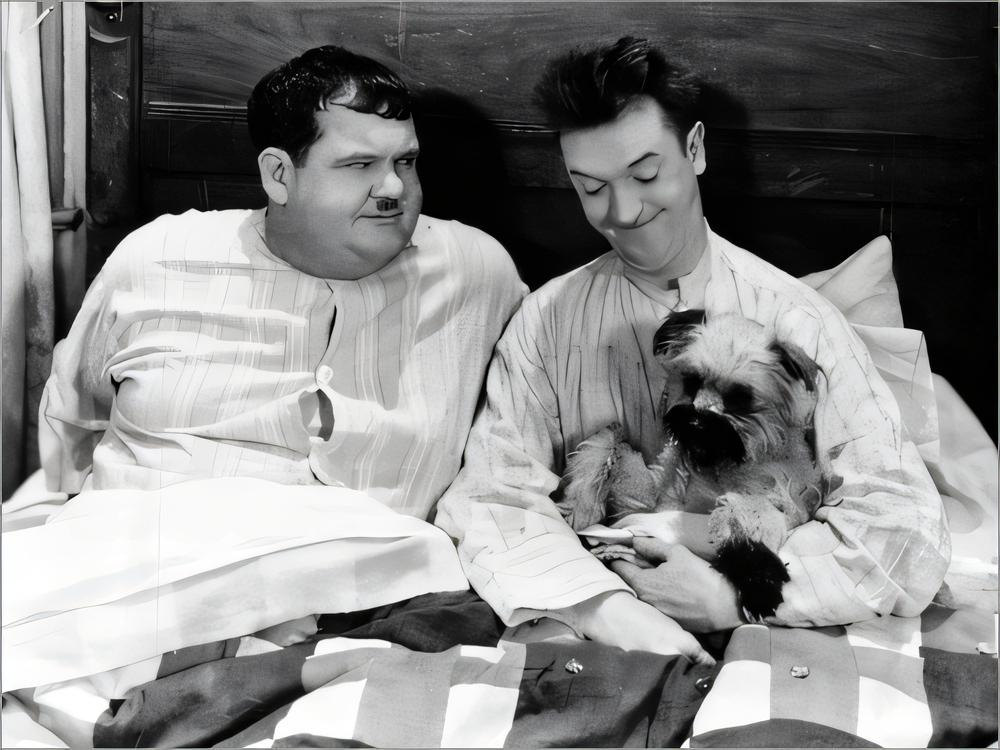 Laurel & Hardy: Laughing Gravy